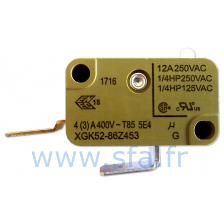 XGK microswitch